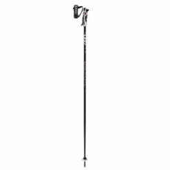 Leki 2021 Bold Lite S Poles