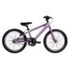 EVO 2022 Rock Ridge 20 Junior Bike