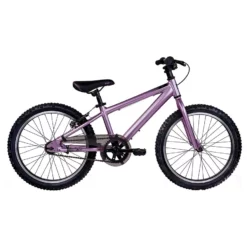 EVO 2022 Rock Ridge 20 Junior Bike