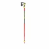 Alpine Ski Leki 2020 WC Lite SL Pole