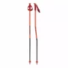 Alpine Ski Atomic 2021 REDSTER GS Poles
