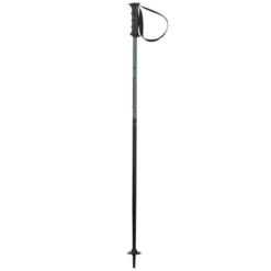 Elan 2021 SP HOT ROD Junior Poles Alpine Ski