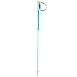 Elan 2021 SP HOT ROD Junior Poles Alpine Ski