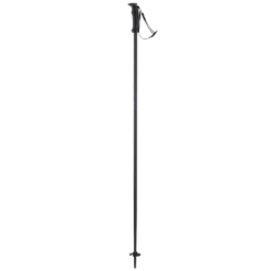 Elan 2021 SP SPEED ROD Poles