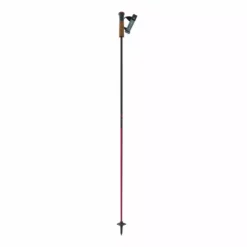 One Way Alpine Ski Oneway 2022 GT 13 COMP MAG Poles