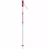 Alpine Ski Rossignol 2022 Junior Electra Poles