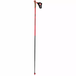 Rossignol 2022 WCS Nordic Poles