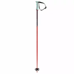 Alpine Ski Volkl 2022 Phantastick 18mm Poles