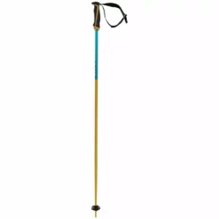 Alpine Ski Volkl 2022 Phantastick 18mm Poles