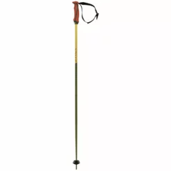 Alpine Ski Volkl 2022 Phantastick 18mm Poles